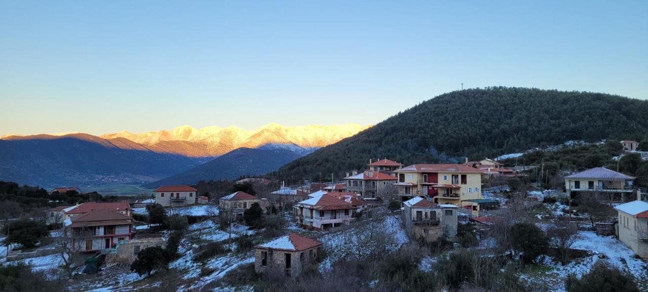 Xenonas Epavli Hotel Levidhion Exterior photo